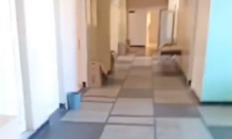 Зловещо видео: Има ли медицински персонал в Ковид-отделението? (ВИДЕО) - Tribune.bg