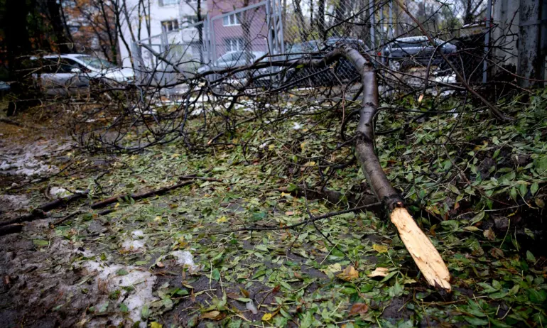 София 5 дни след снега: Паднали клони и боклук навсякъде