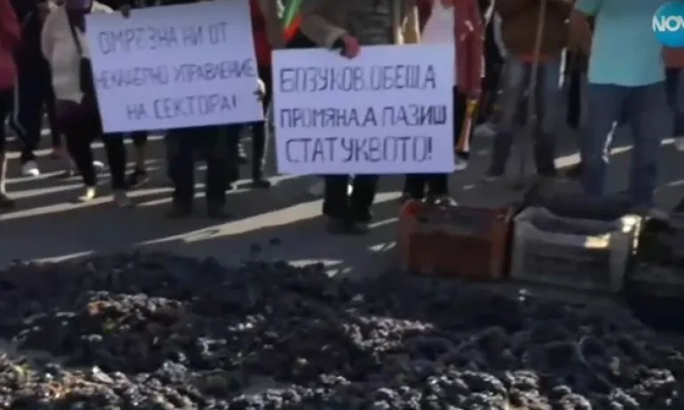 Лозари блокираха движението край Монтана заради ниски субсидии и липса на финансова помощ за сектора - Tribune.bg