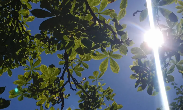 Слънчево, следобед кратки валежи в Западна България - Tribune.bg