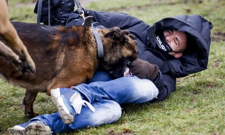 В Нидерландия: Сила, водни оръдия, коне, кучета и палки срещу протестиращите - Tribune.bg