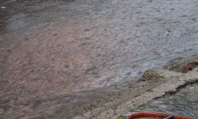 ООН: Система за ранно предупреждение можеше да предотврати жертвите в Либия - Tribune.bg