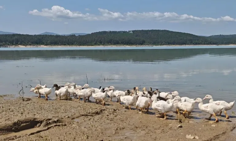 Заради дъждовете: Язовирите и реките в Софийска област са под контрол, критична ситуация няма - Tribune.bg