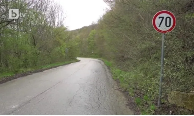 94-годишен шофьор се удари в дърво на мокър път - Tribune.bg