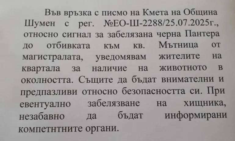 Черният леопард е забелязан до шуменския квартал Мътница - Tribune.bg