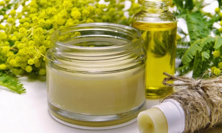 Как бързо да си възвърнем силите - Tribune.bg