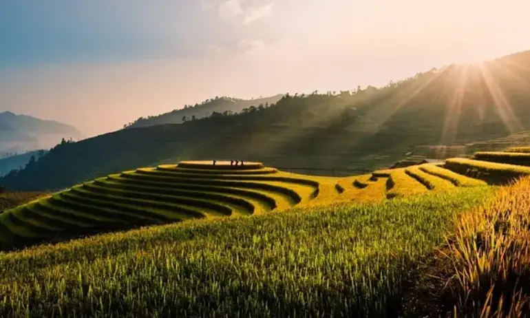Слънчево и топло време, но с кратки валежи - Tribune.bg