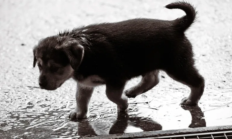 Времето: Облачно, дъждовно, но все още топло за февруари