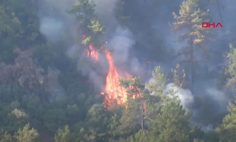 4 жертви на горските пожари в Турция, разследват умишлен палеж - Tribune.bg