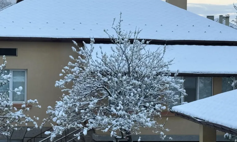 Снеговалежите продължават - Tribune.bg