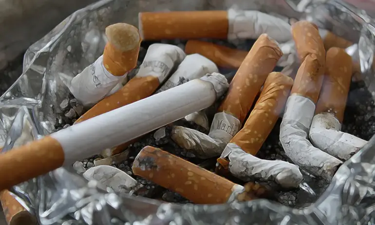 Нова Зеландия планира отмяна на забраната за пушене - Tribune.bg