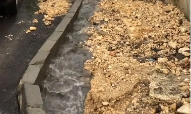 Надежда Петкова: Водният цикъл в Добрич е реализиран по начин, който буди много въпроси (ВИДЕО) - Tribune.bg