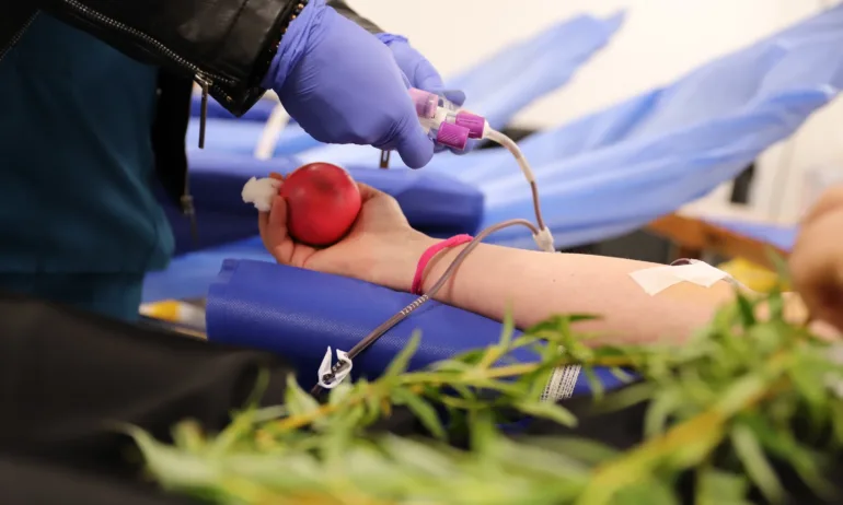 На Цветница ВМА организира акция за кръводаряване - Tribune.bg