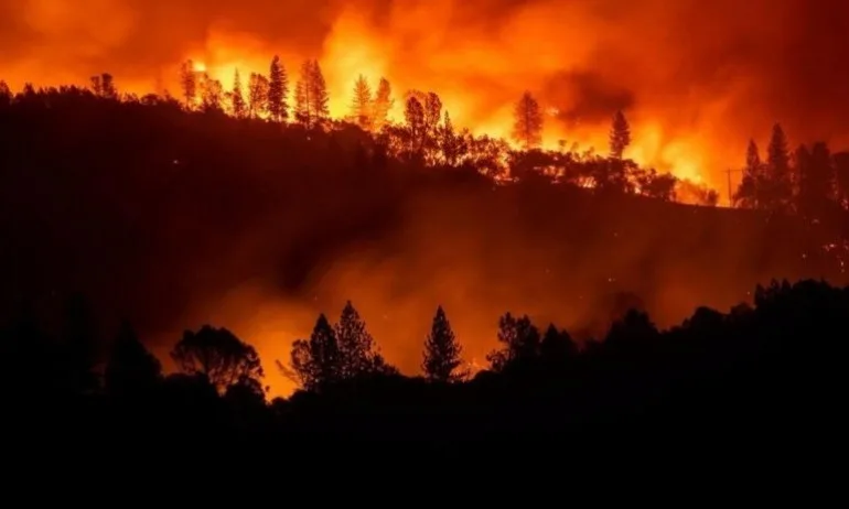 Расте броят на загиналите и изчезналите при пожарите в Калифорния - Tribune.bg