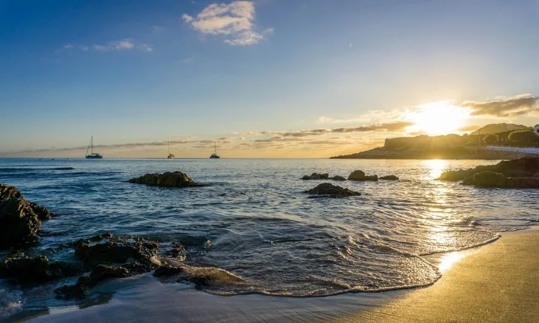 Половината от германците ще останат у дома това лято - Tribune.bg