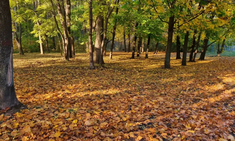 Топло в събота, вечерта започват валежи в Западна България - Tribune.bg