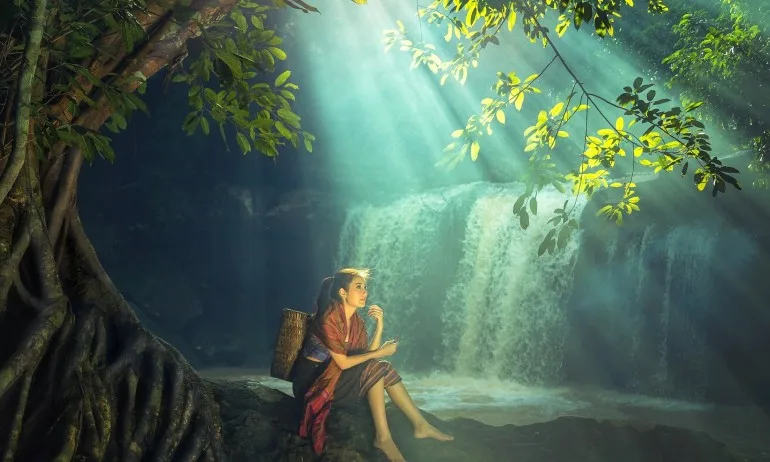 Дендротерапия – метод, използващ целебната сила на дърветата - Tribune.bg