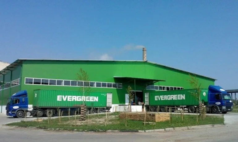 Най-големият завод за целулоза у нас спира работа - Tribune.bg