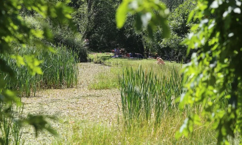 От днес: Отварят Витоша за разходки - Tribune.bg