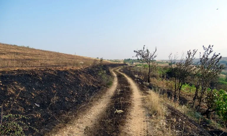 Второ денонощие без следа от 2-годишното дете в Бургаско - Tribune.bg