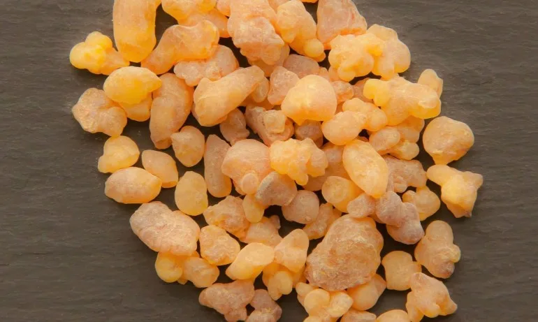 Защо е добре да имате у дома масло от тамян - Tribune.bg