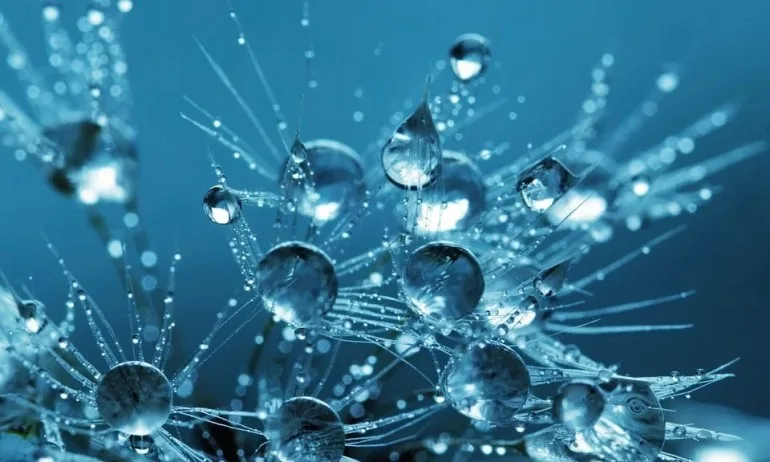 Медитация в синьо - Tribune.bg