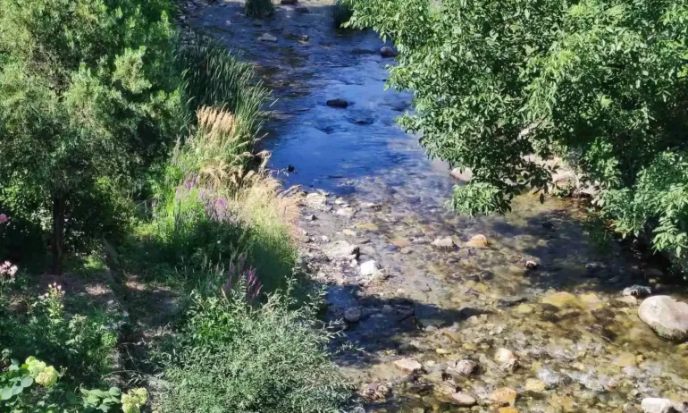 Почистват коритото на река Благоевградска Бистрица - Tribune.bg