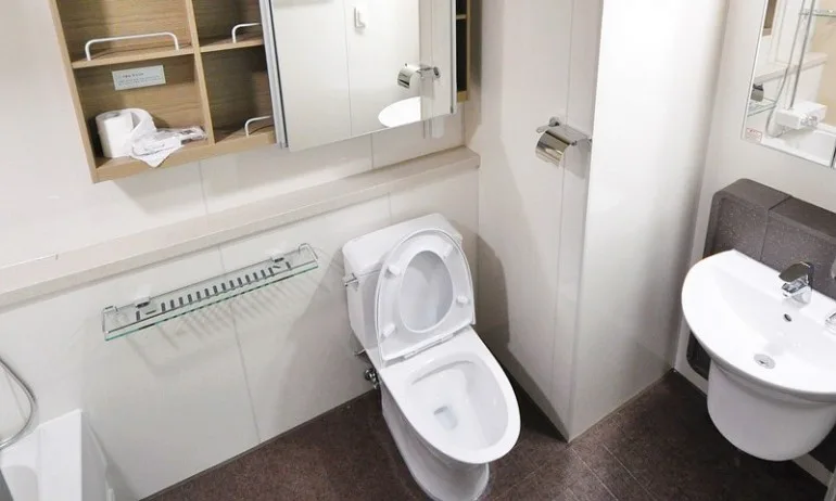 Евростат: Почти 14 на сто от българите нямат вътрешна тоалетна - Tribune.bg