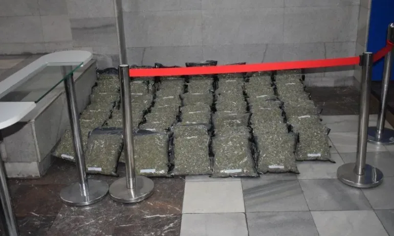 Модерната наркооранжерия в Змейово е била изградена при изключителна конфиденциалност - Tribune.bg
