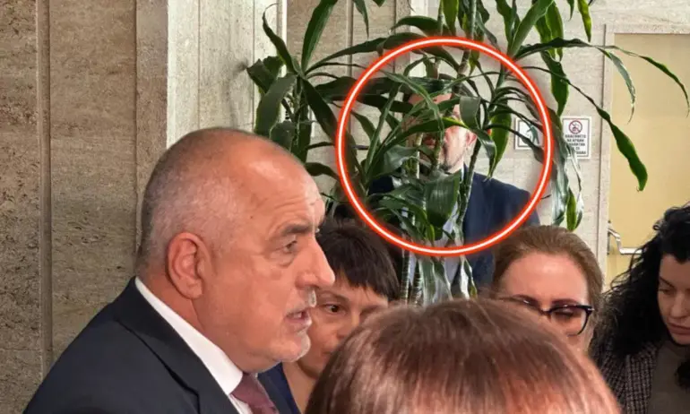 Таен агент? Настимир Ананиев, скрит зад фикус, подслуша Бойко Борисов - Tribune.bg