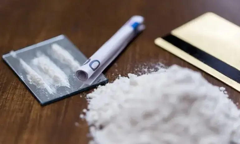 Митничeските служби в Антверпен заловиха над 7 тона кокаин - Tribune.bg