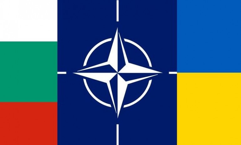 Боец и Манол Глишев стягат пронатовски протест, искат оставка на Нинова - Tribune.bg