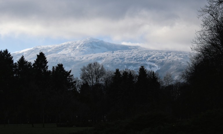 Пролетно време през декември: температурите ще достигнат 13 градуса - Tribune.bg