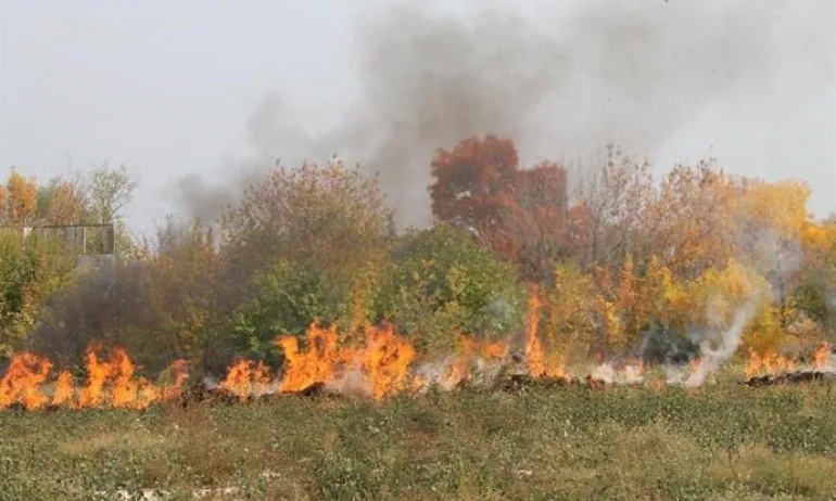 Внимание! Опасност от пожари - Tribune.bg