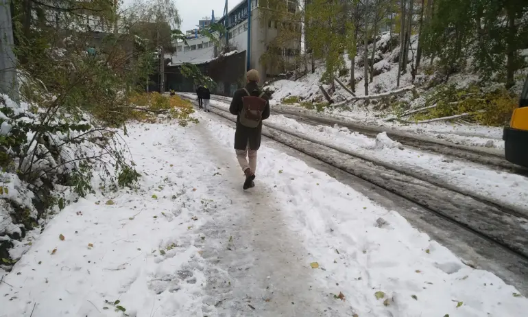 Софийска зимна приказка: Най-много да те блъсне някой трамвай (СНИМКИ) - Tribune.bg