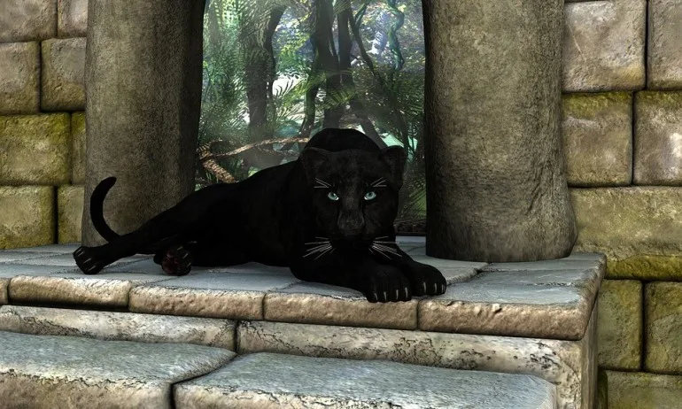 Полицията във Франция на крак заради плюшена пантера (СНИМКА) - Tribune.bg