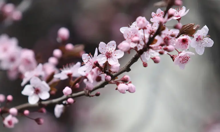 Силно затопляне и летни температури в края на март - Tribune.bg