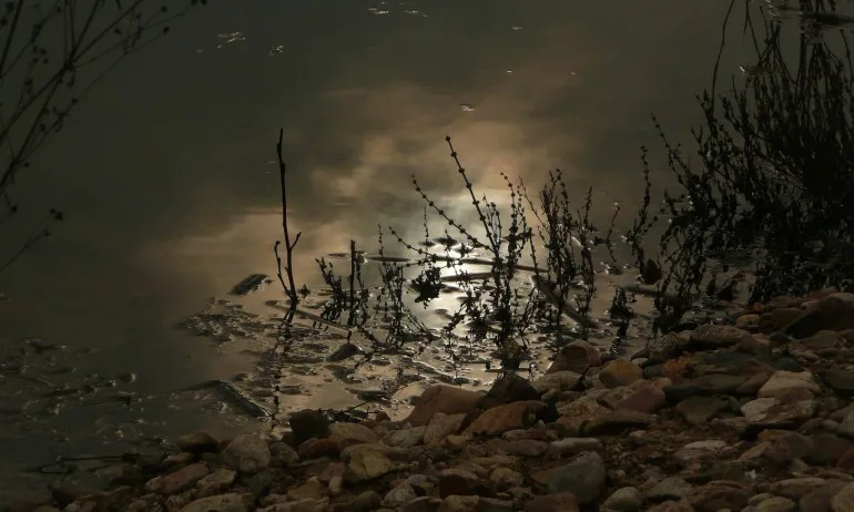 Розоварна замърси две реки и язовир край Старосел, рибата измря - Tribune.bg