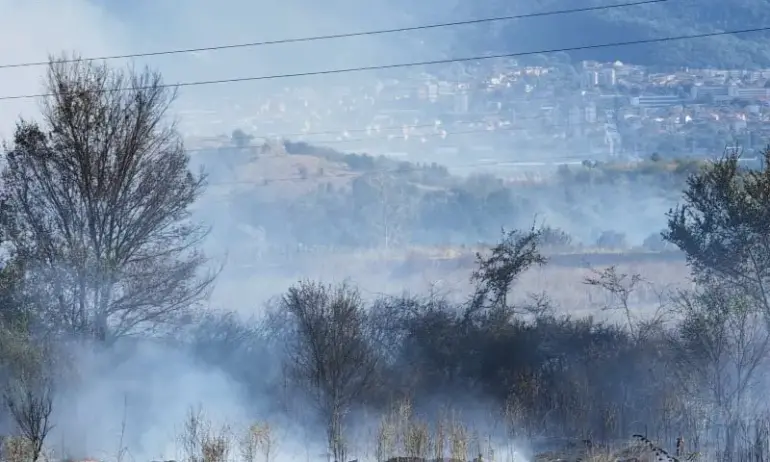 Локализираха пожара край петричките села на метри от къщите - Tribune.bg