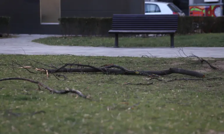 Силният вятър събори дървета, вдигна предизборни палатки и обърна тир - Tribune.bg