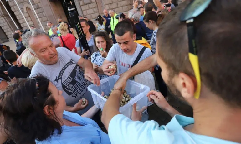 Рашел Леви: Моля протестиращите, ако утре ще хвърлят някакви храни, да ги занесат на отец Иван - Tribune.bg