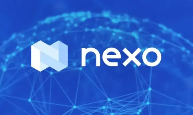 Предполагаемо писмо на съосновател на Nexo: Франкенщайн схема за източване на средства - Tribune.bg