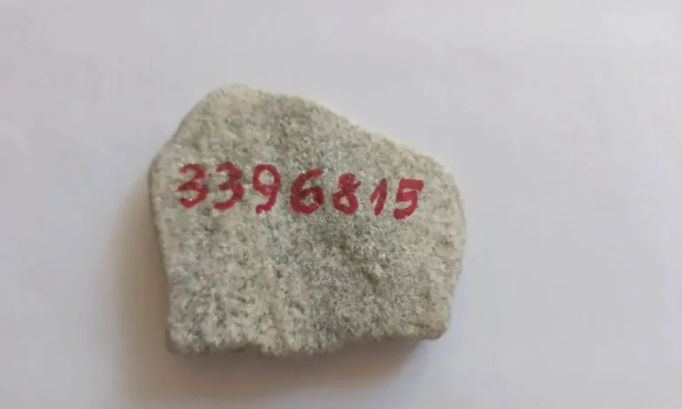 Свещеното число на д-р ША - Tribune.bg