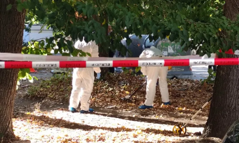 38-годишен мъж е задържан за убийството на 80-годишната си баба във Видин - Tribune.bg