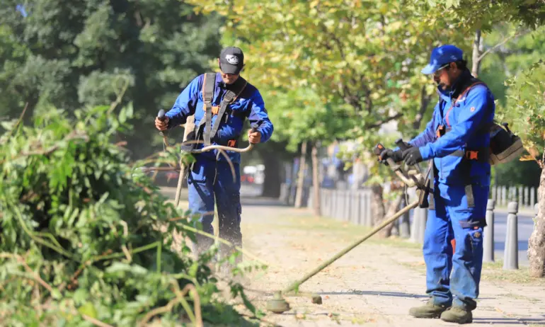 След ухапване от кърлежи - двама са в тежко състояние в Пловдив - Tribune.bg