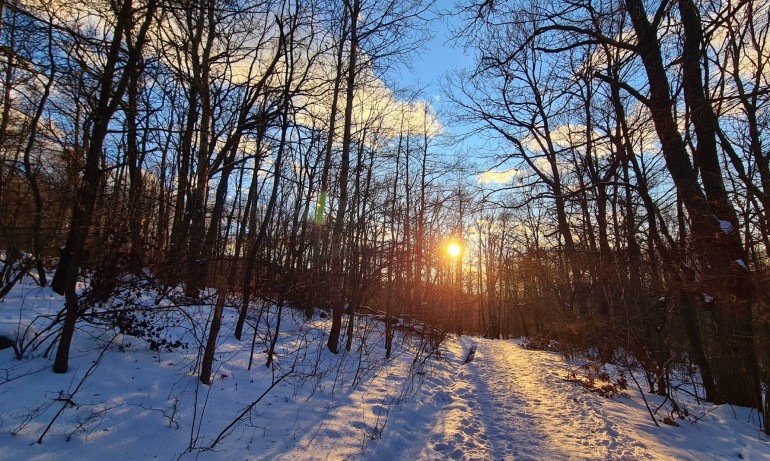 Топлото време продължава, през деня до 16 градуса - Tribune.bg