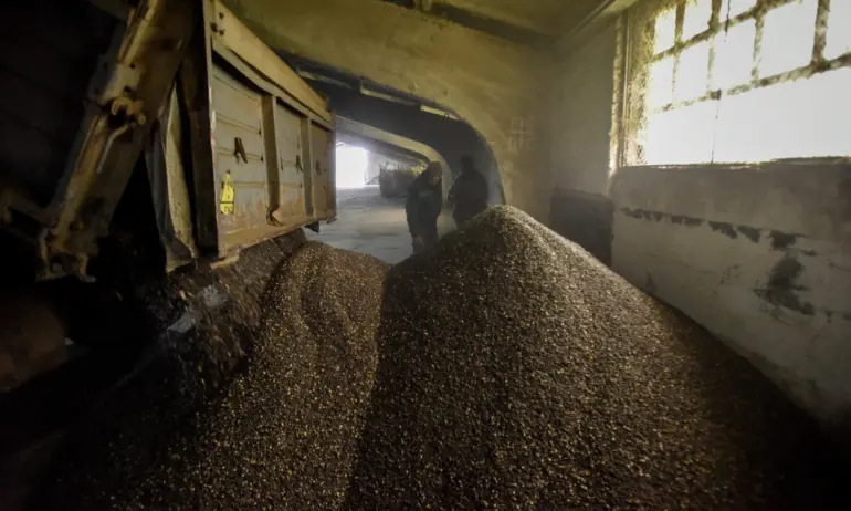 ЕК: Земеделските стоки, внасяни от Украйна в ЕС, отговарят на всички изисквания за качество - Tribune.bg