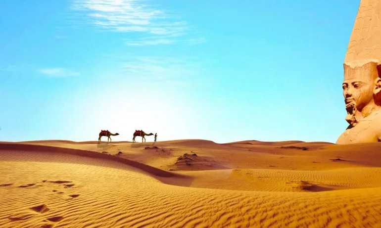 Приказки от 1001 нощ – на сафари в Египет - Tribune.bg