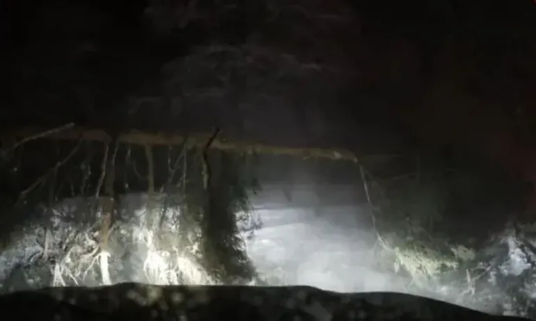 Тежко остава състоянието на 19-годишния Калоян, който пострада, след като натежал от снега клон падна върху колата му на Витоша - Tribune.bg