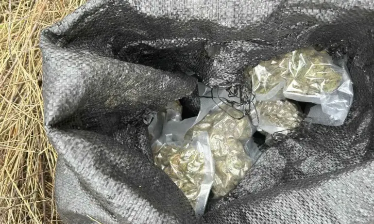 Задържаха турски шофьор, употребил три вида дрога, при вероятна сделка за марихуана - Tribune.bg